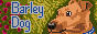 Barley Dog Icon