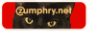 Zumphry.net_Icon