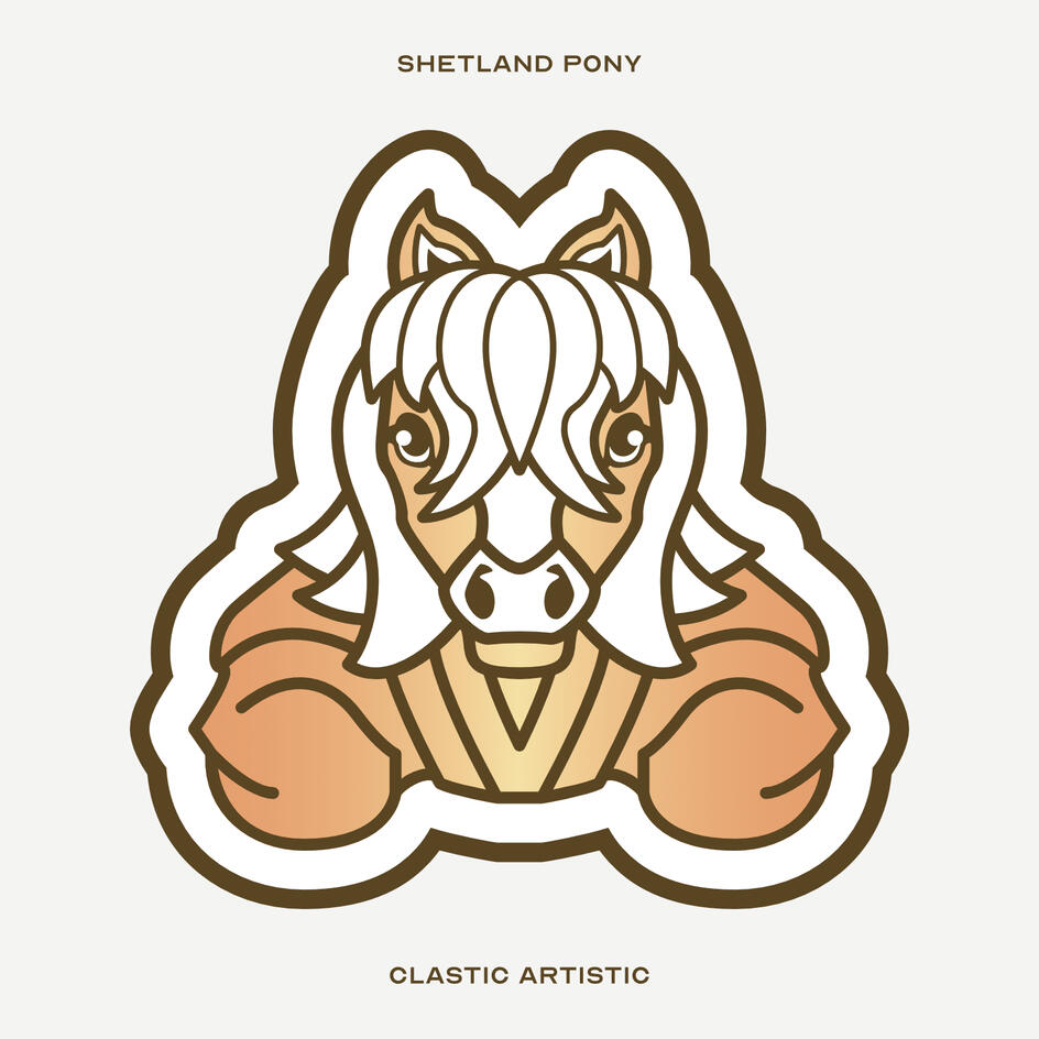 Stylised vector illustration of a Shetland Pony facing towards the viewer
