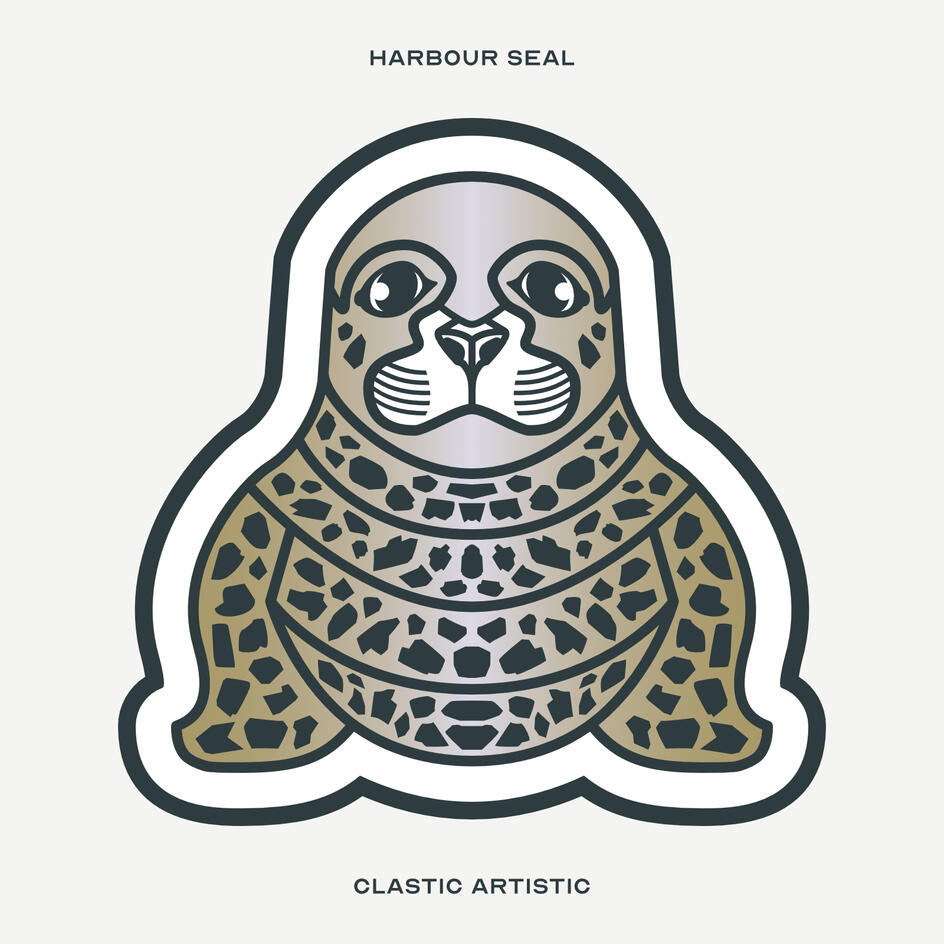 Stylised vector illustration of a Harbour Seal facing towards the viewer