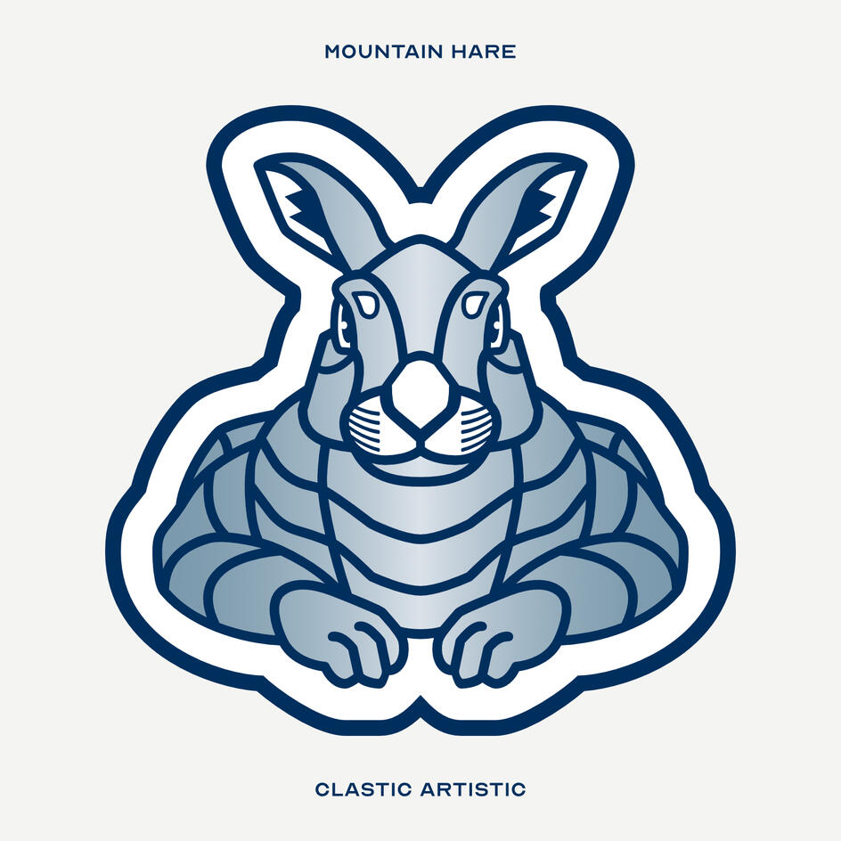 Stylised vector illustration of a Mountain Hare facing towards the viewer