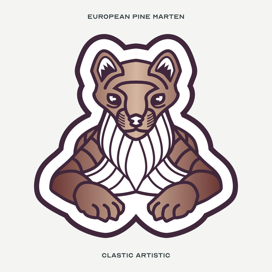 Stylised vector illustration of a European Pine Marten facing towards the viewer