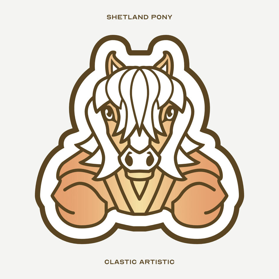 Stylised vector illustration of a Shetland Pony facing towards the viewer