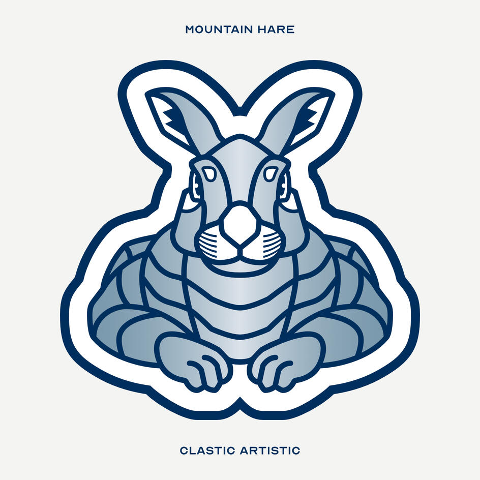 Stylised vector illustration of a Mountain Hare facing towards the viewer