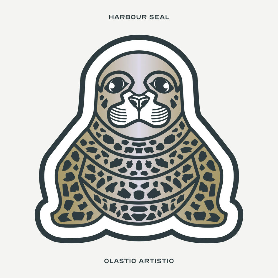 Stylised vector illustration of a Harbour Seal facing towards the viewer