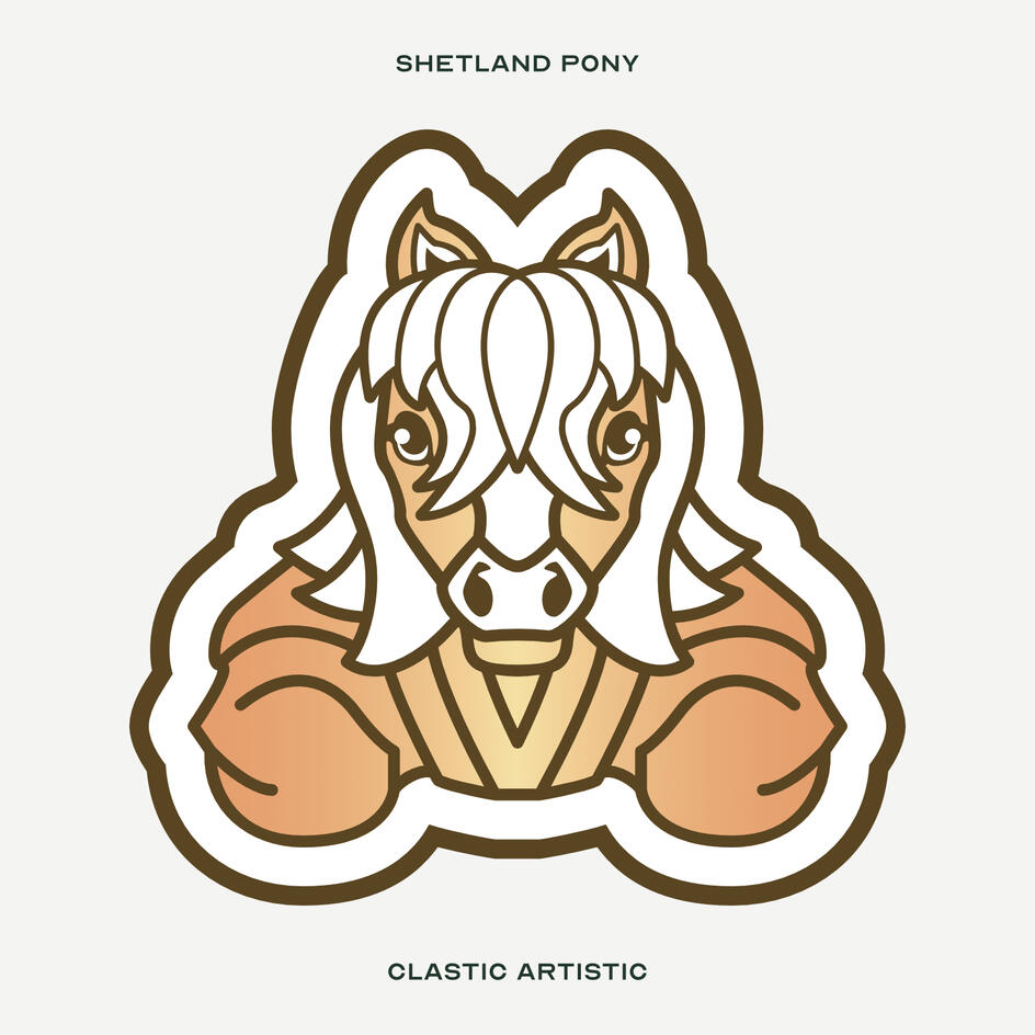 Stylised vector illustration of a Shetland Pony facing towards the viewer