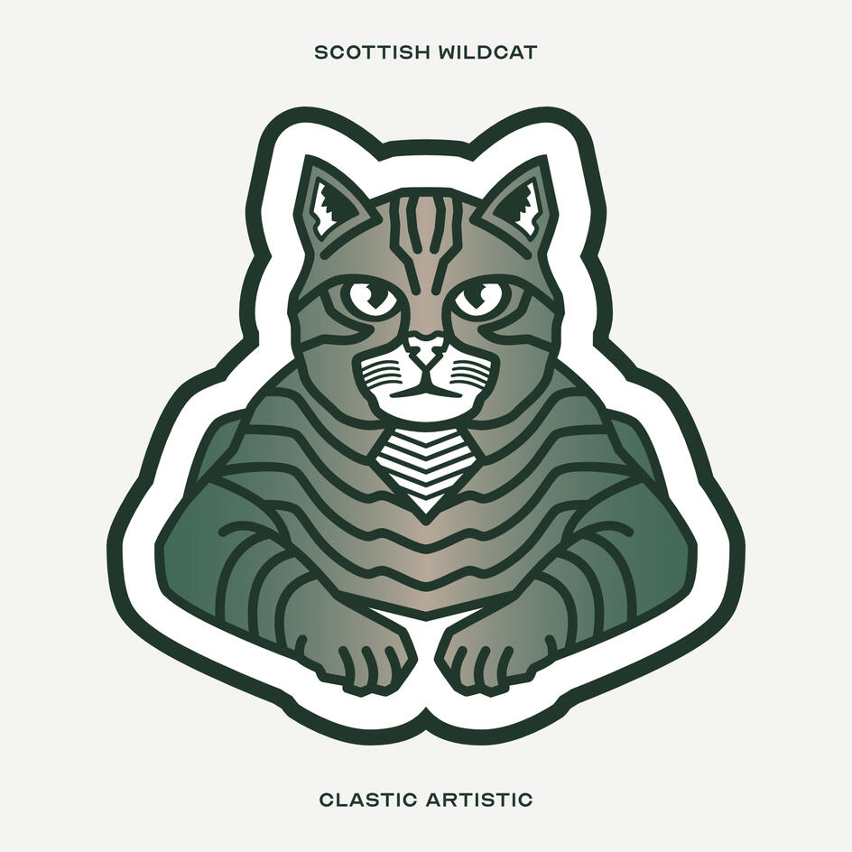 Stylised vector illustration of a Scottish Wildcat facing towards the viewer