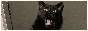 Zumphry.net 88×31 Icon for Zumphry's website