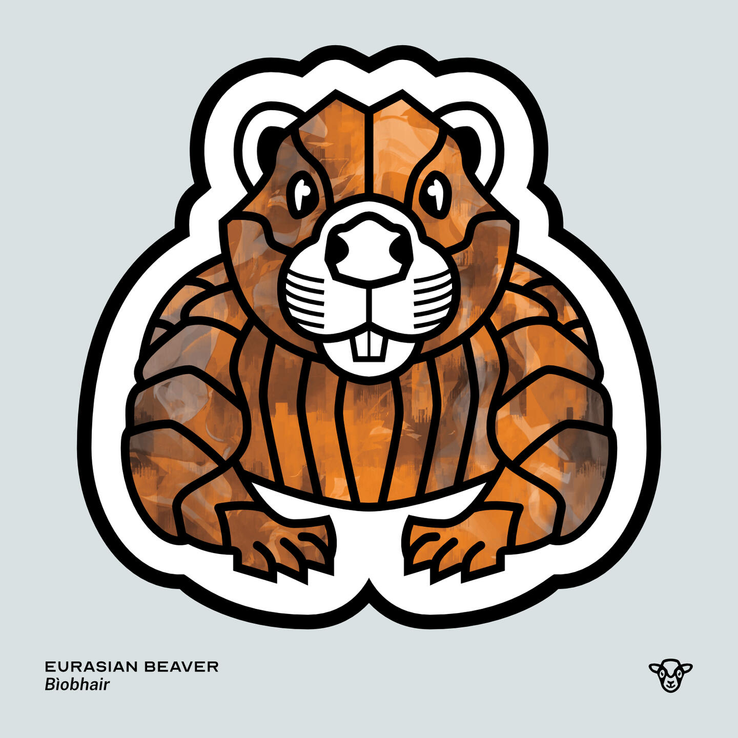 Stylised vector illustration of a Eurasian Beaver with an orange and brown smoky texture facing towards the viewer, English text: Eurasian Beaver, Scottish Gaelic text: Bìobhair ©Clastic Artistic