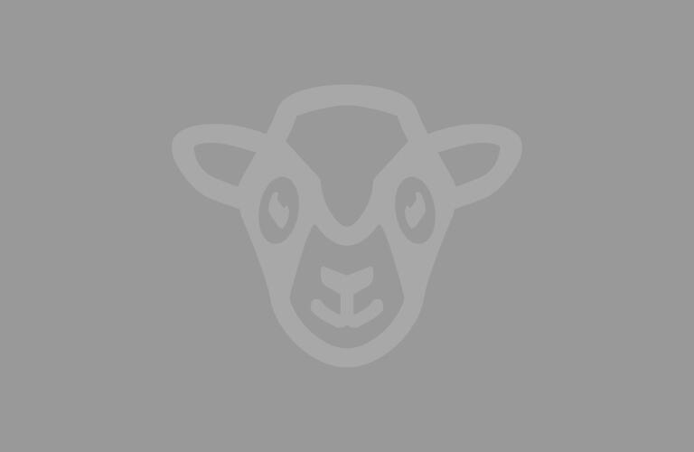 Image: A grey background with a lighter Clastic Artistic Sheep Symbol. ©Clastic Artistic