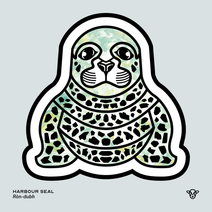Stylised vector illustration of a Harbour Seal (Pinniped) with a seafoam and white glass texture facing towards the viewer, English text: Harbour Seal, Scottish Gaelic text: Ròn-dubh ©Clastic Artistic