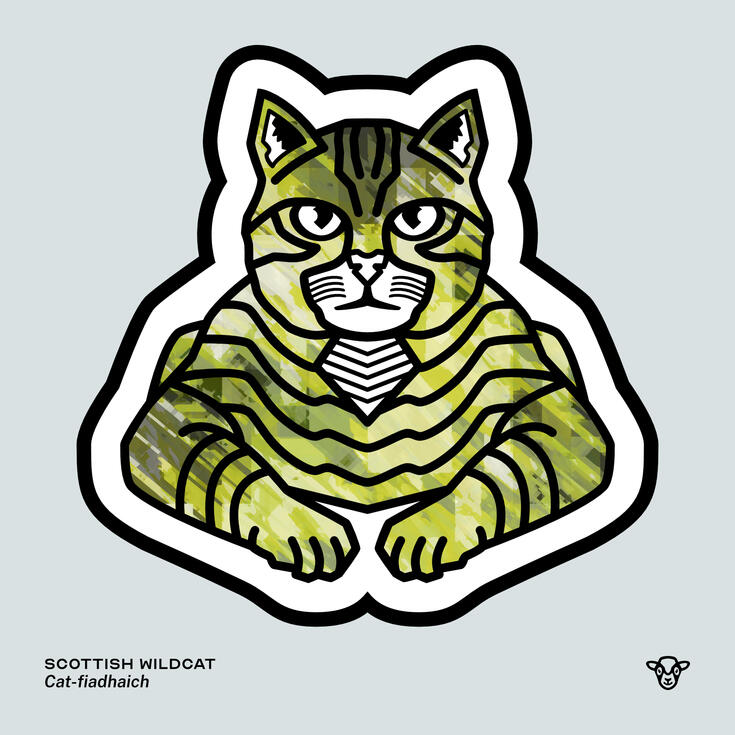 Stylised vector illustration of a Scottish Wildcat (Cat) with a green jagged texture facing towards the viewer, English text: Scottish Wildcat, Scottish Gaelic text: Cat-fiadhaich ©Clastic Artistic