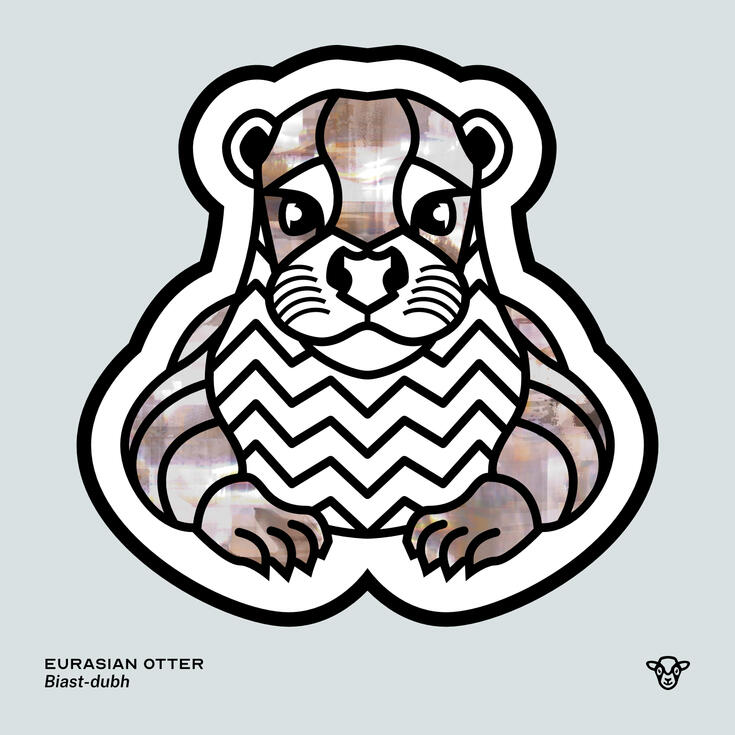 Stylised vector illustration of a Eurasian Otter with an brown and grey marble texture facing towards the viewer, English text: Eurasian Otter, Scottish Gaelic text: Biast-dubh ©Clastic Artistic