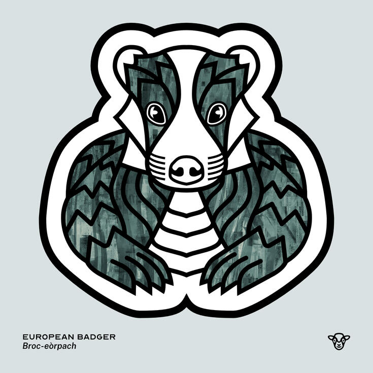Stylised vector illustration of a European Badger with a dark green wavy texture facing towards the viewer, English text: European Badger, Scottish Gaelic text: Broc-eòrpach ©Clastic Artistic