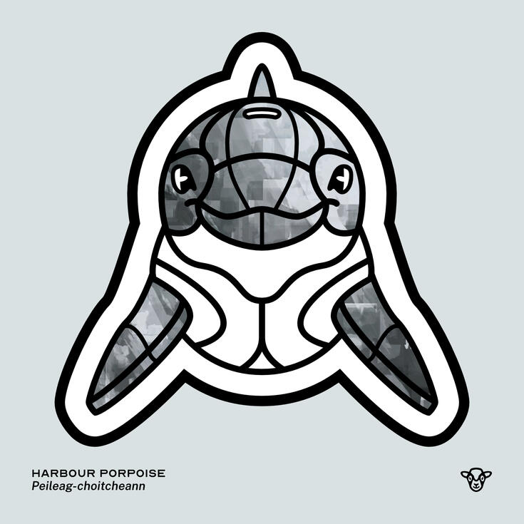 Stylised vector illustration of a Harbour Porpoise (Cetacean) with a black and grey splash texture facing towards the viewer, English text: Harbour Porpoise, Scottish Gaelic text: Peileag-choitcheann ©Clastic Artistic
