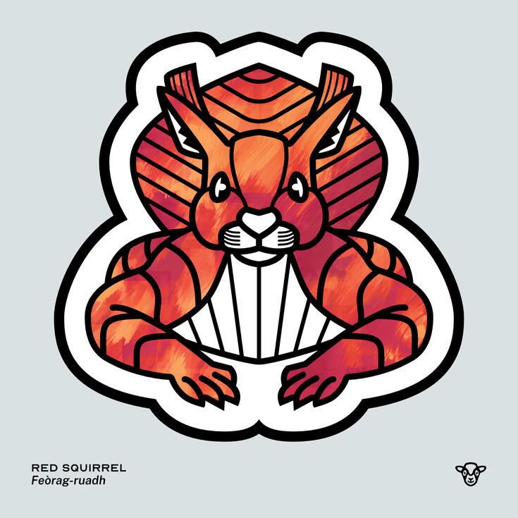 Stylised vector illustration of a Red Squirrel with a red and orange brushed texture facing towards the viewer, English text: Red Squirrel, Scottish Gaelic text: Feòrag-ruadh ©Clastic Artistic