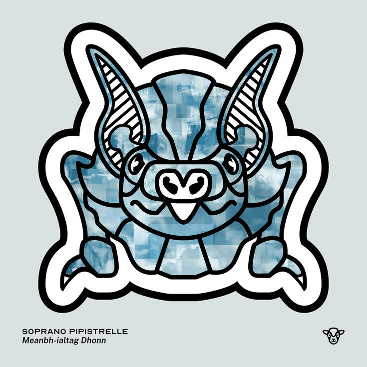 Stylised vector illustration of a Soprano Pipistrelle (Bat) with a blue and grey torn texture facing towards the viewer, English text: Soprano Pipistrelle, Scottish Gaelic text: Meanbh-ialtag Dhonn ©Clastic Artistic