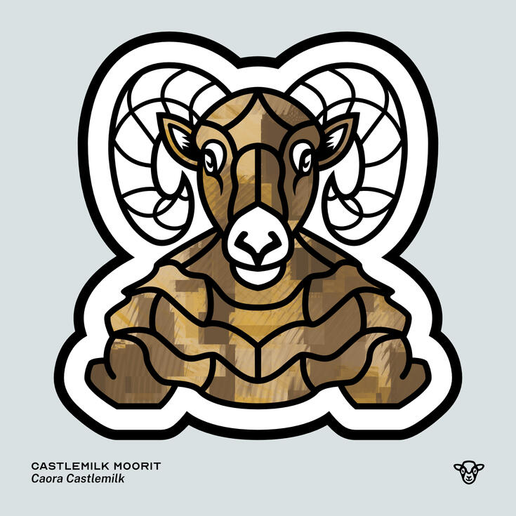 Stylised vector illustration of a Castlemilk Moorit (Sheep) with an ochre and brown blocky texture facing towards the viewer, English text: Castlemilk Moorit, Scottish Gaelic text: Caora Castlemilk ©Clastic Artistic