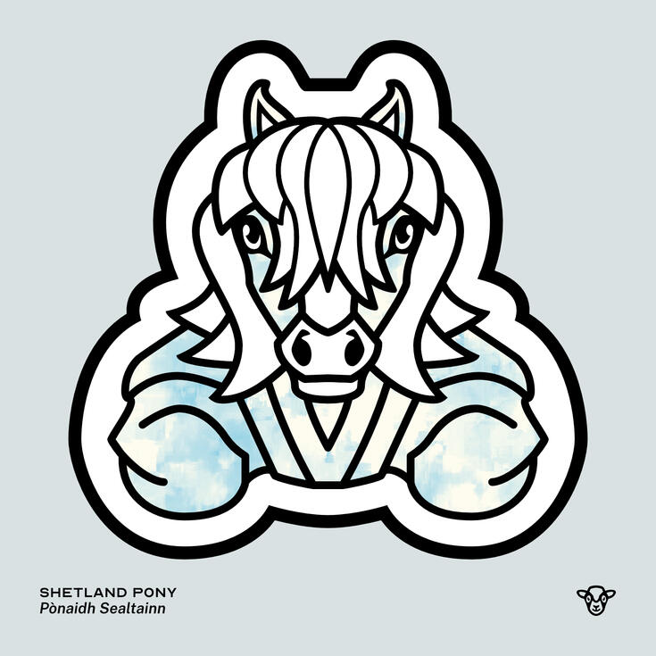 Stylised vector illustration of a Shetland Pony (Horse) with a blue and cream cloud texture facing towards the viewer, English text: Shetland Pony, Scottish Gaelic text: Pònaidh Sealtainn ©Clastic Artistic