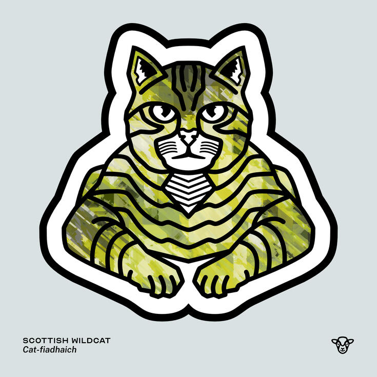Stylised vector illustration of a Scottish Wildcat (Cat) with a green jagged texture facing towards the viewer, English text: Scottish Wildcat, Scottish Gaelic text: Cat-fiadhaich ©Clastic Artistic