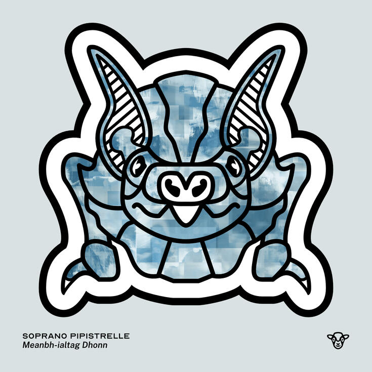 Stylised vector illustration of a Soprano Pipistrelle (Bat) with a blue and grey torn texture facing towards the viewer, English text: Soprano Pipistrelle, Scottish Gaelic text: Meanbh-ialtag Dhonn ©Clastic Artistic