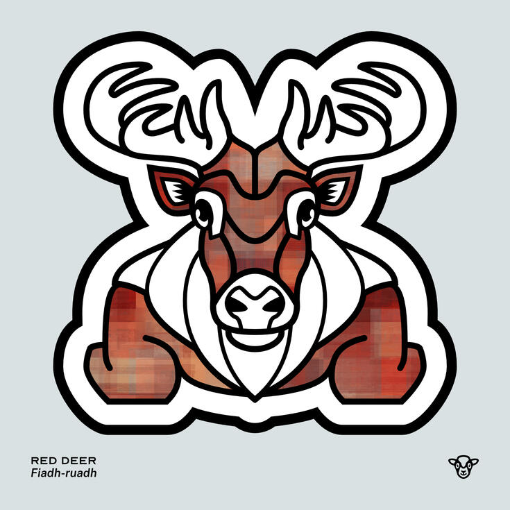 Stylised vector illustration of a Red Deer with a red and brown checker texture facing towards the viewer, English text: Red Deer, Scottish Gaelic text: Fiadh-ruadh ©Clastic Artistic
