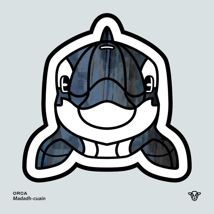Stylised vector illustration of an Orca with a blue and black underwater texture facing towards the viewer, English text: Orca, Scottish Gaelic text: Madadh-cuain ©Clastic Artistic