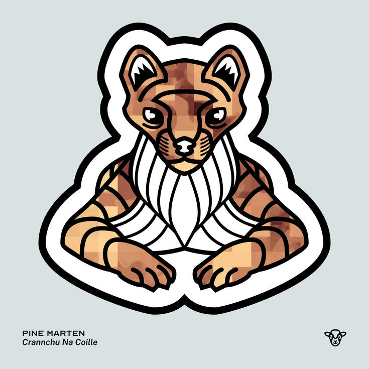 Stylised vector illustration of a Pine Marten with a tan and brown pixel texture facing towards the viewer, English text: Pine Marten, Scottish Gaelic text: Crannchu Na Coille ©Clastic Artistic