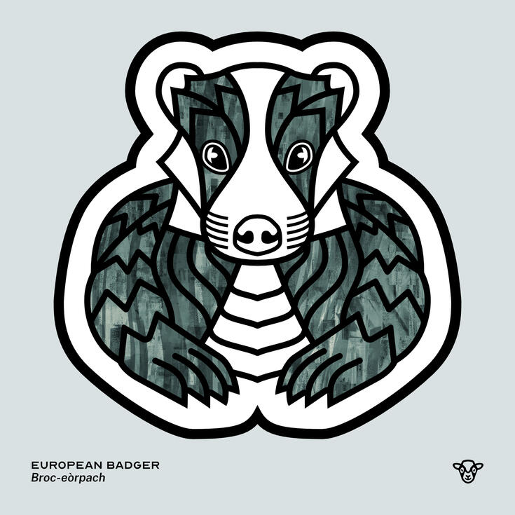 Stylised vector illustration of a European Badger with a dark green wavy texture facing towards the viewer, English text: European Badger, Scottish Gaelic text: Broc-eòrpach ©Clastic Artistic