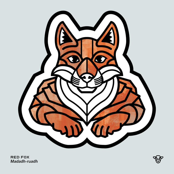 Stylised vector illustration of a Red Fox with an red and grey painterly texture facing towards the viewer, English text: Red Fox, Scottish Gaelic text: Madadh-ruadh ©Clastic Artistic
