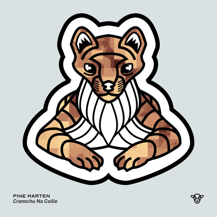 Stylised vector illustration of a Pine Marten with a tan and brown pixel texture facing towards the viewer, English text: Pine Marten, Scottish Gaelic text: Crannchu Na Coille ©Clastic Artistic