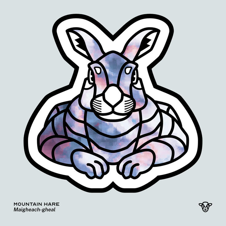 Stylised vector illustration of a Mountain Hare with a blue and copper snow texture facing towards the viewer, English text: Mountain Hare, Scottish Gaelic text: Maigheach-gheal ©Clastic Artistic