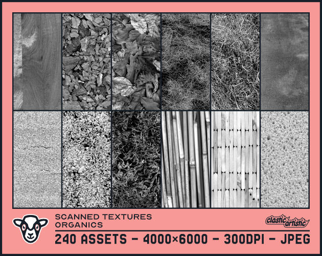 Scanned Textures Organics asset pack thumbnail. The image shows twelve examples of organic objects that have been scanned as textures. The text below reads: 240 Assets – 4000×6000 – 300dpi – JPEG