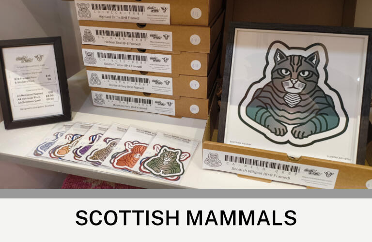 Images: A retail display of Scottish Mammal products. There are stickers to the left and a framed Scottish Wildcat print to the right. Text: Scottish Mammals ©Clastic Artistic